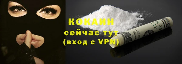 дживик Магас