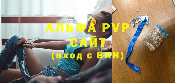 стаф Медногорск