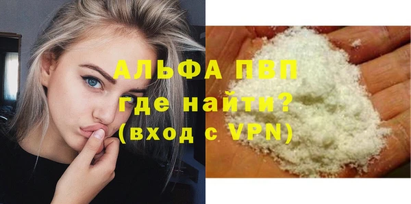стаф Медногорск