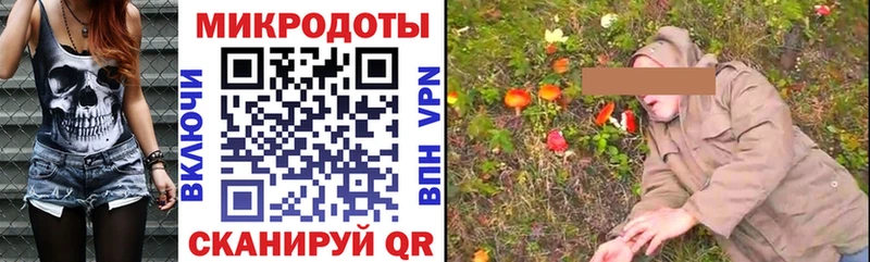 купить наркотик  Элиста  Псилоцибиновые грибы мухоморы 