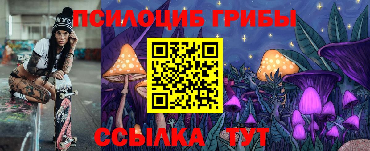 Псилоцибиновые грибы MAGIC MUSHROOMS  Вход с VPN  Элиста  Галлюциногенные грибы мицелий 