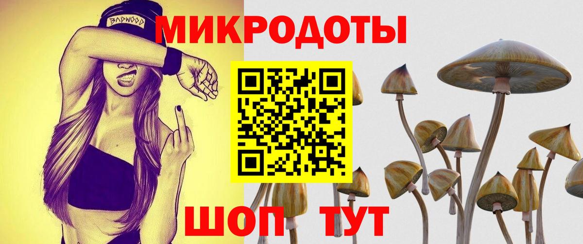 Псилоцибиновые грибы прущие грибы Элиста